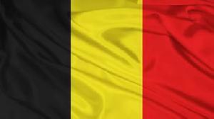 Натяжные потолки Бельгия флаг производителя  